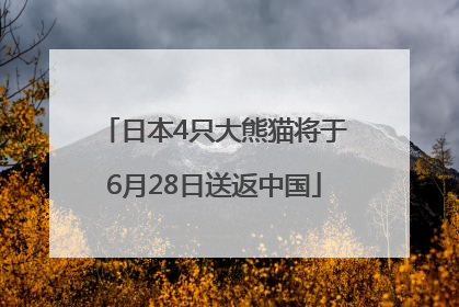 日本4只大熊猫将于6月28日送返中国
