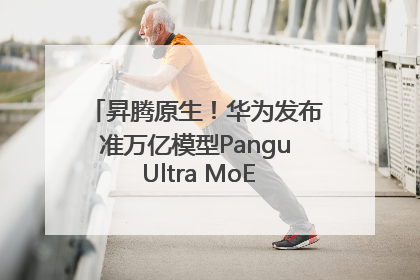 昇腾原生！华为发布准万亿模型Pangu Ultra MoE模型架构和训练细节