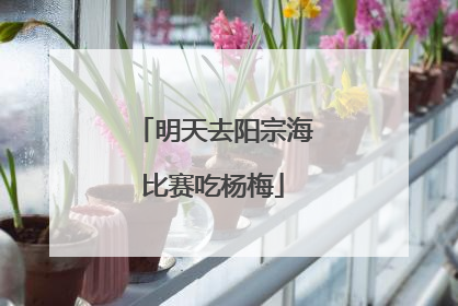 明天去阳宗海比赛吃杨梅
