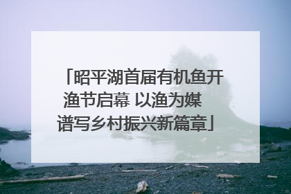 昭平湖首届有机鱼开渔节启幕 以渔为媒 谱写乡村振兴新篇章