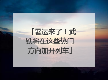 暑运来了！武铁将在这些热门方向加开列车