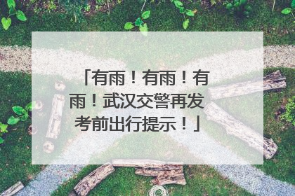 有雨！有雨！有雨！武汉交警再发考前出行提示！