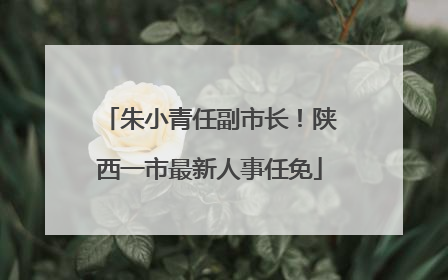 朱小青任副市长！陕西一市最新人事任免