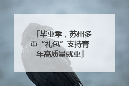 毕业季，苏州多重“礼包”支持青年高质量就业