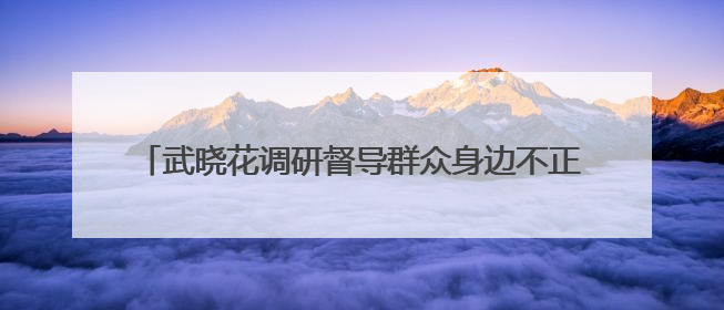 武晓花调研督导群众身边不正之风和腐败问题集中整治工作