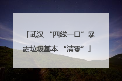 武汉 “四线一口”暴露垃圾基本 “清零”