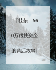 桂东：560万帮扶资金的背后故事