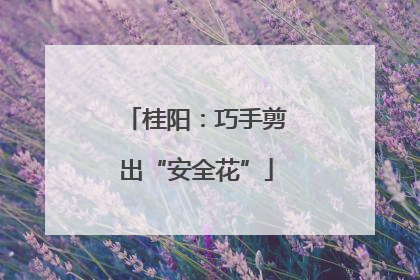 桂阳：巧手剪出“安全花”