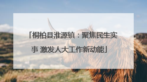 桐柏县淮源镇：聚焦民生实事 激发人大工作新动能