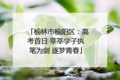 榆林市榆阳区：高考首日 莘莘学子执笔为剑 逐梦青春