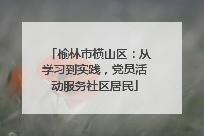 榆林市横山区：从学习到实践，党员活动服务社区居民