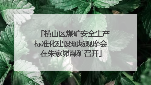 横山区煤矿安全生产标准化建设现场观摩会在朱家峁煤矿召开