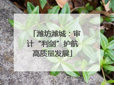 潍坊潍城：审计“利剑”护航高质量发展