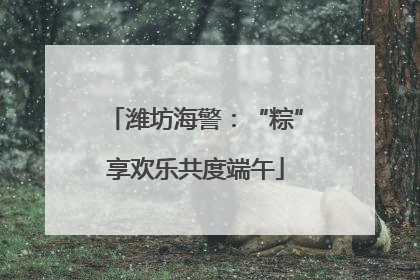 潍坊海警：“粽”享欢乐共度端午