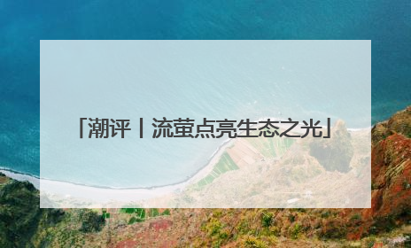 潮评丨流萤点亮生态之光