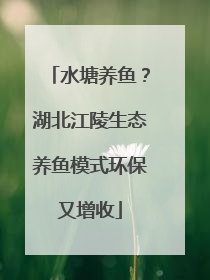 水塘养鱼？湖北江陵生态养鱼模式环保又增收