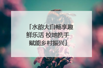 水韵大白畅享趣鲜乐活 校地携手赋能乡村振兴
