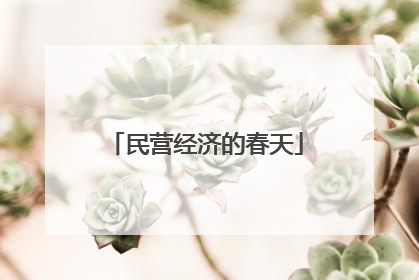 民营经济的春天