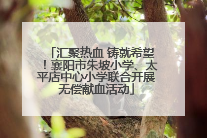 汇聚热血 铸就希望！襄阳市朱坡小学、太平店中心小学联合开展无偿献血活动