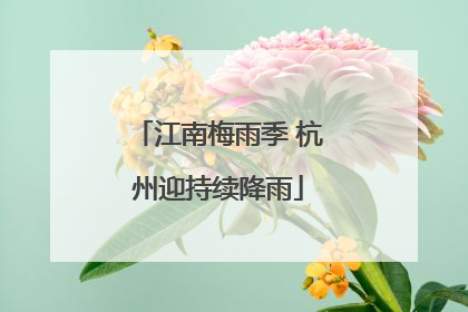 江南梅雨季 杭州迎持续降雨