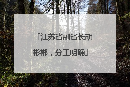 江苏省副省长胡彬郴，分工明确