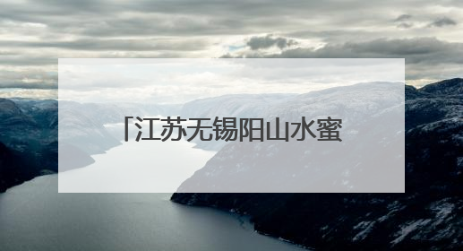 江苏无锡阳山水蜜桃首发 小桃子做出乡村振兴大文章