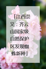 江西崇义：齐云山国家级自然保护区发现蜘蛛新种