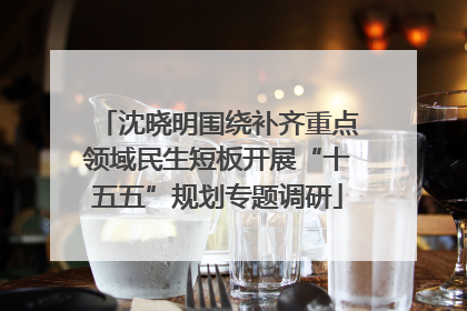 沈晓明围绕补齐重点领域民生短板开展“十五五”规划专题调研