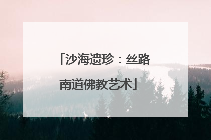 沙海遗珍：丝路南道佛教艺术