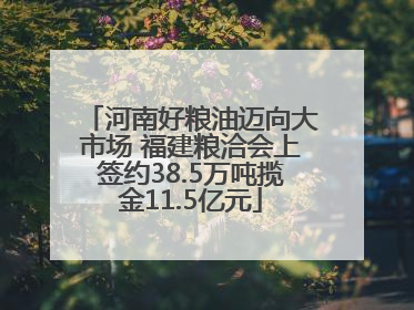 河南好粮油迈向大市场 福建粮洽会上签约38.5万吨揽金11.5亿元