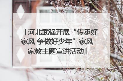 河北武强开展“传承好家风 争做好少年”家风家教主题宣讲活动