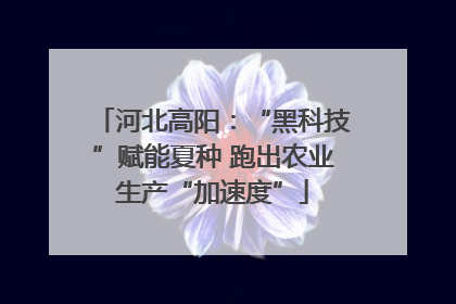 河北高阳：“黑科技”赋能夏种 跑出农业生产“加速度”