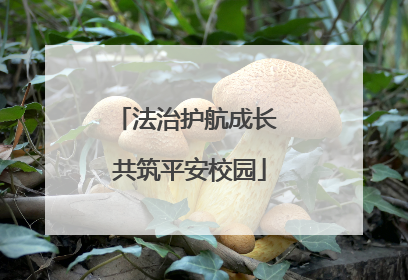 法治护航成长 共筑平安校园