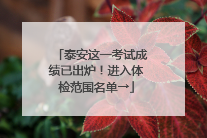 泰安这一考试成绩已出炉！进入体检范围名单→