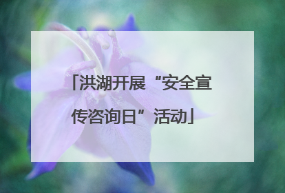 洪湖开展“安全宣传咨询日”活动