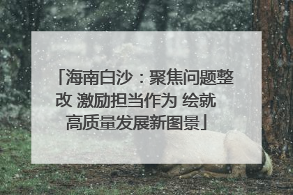 海南白沙：聚焦问题整改 激励担当作为 绘就高质量发展新图景