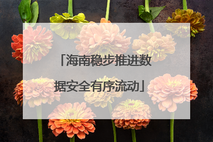 海南稳步推进数据安全有序流动