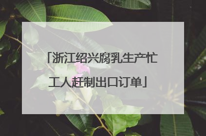 浙江绍兴腐乳生产忙 工人赶制出口订单