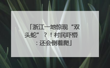 浙江一地惊现“双头蛇”？！村民吓懵：还会倒着爬