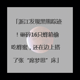 浙江发现黑熊踪迹！砸碎16只蜂箱偷吃蜂蜜，还在边上搭了张“席梦思”床