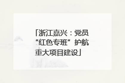 浙江嘉兴：党员“红色专班”护航重大项目建设