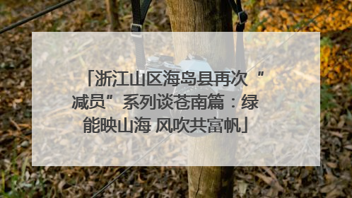 浙江山区海岛县再次“减员”系列谈苍南篇：绿能映山海 风吹共富帆