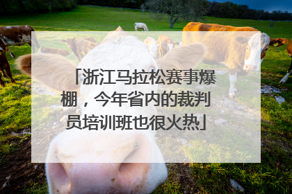 浙江马拉松赛事爆棚，今年省内的裁判员培训班也很火热