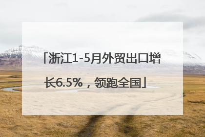 浙江1-5月外贸出口增长6.5%，领跑全国
