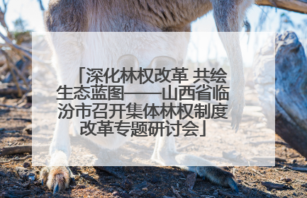深化林权改革 共绘生态蓝图——山西省临汾市召开集体林权制度改革专题研讨会