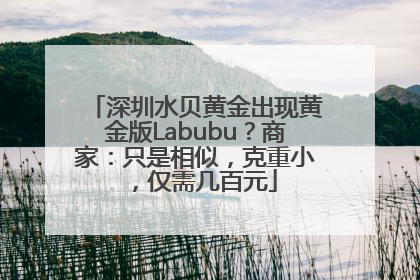 深圳水贝黄金出现黄金版Labubu？商家：只是相似，克重小，仅需几百元