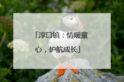 淳口镇：情暖童心，护航成长