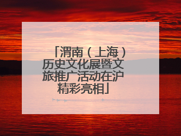 渭南（上海）历史文化展暨文旅推广活动在沪精彩亮相