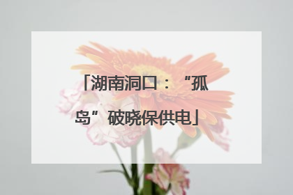 湖南洞口：“孤岛”破晓保供电