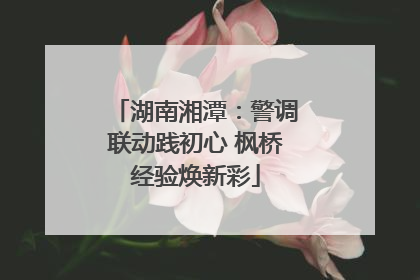 湖南湘潭：警调联动践初心 枫桥经验焕新彩